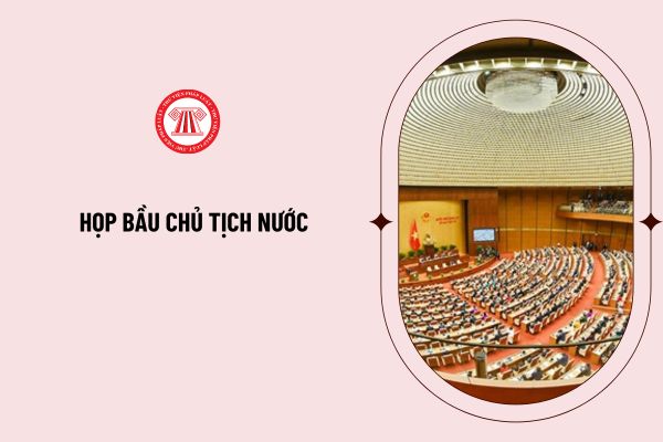 Họp bầu chủ tịch nước được tiến hành như thế nào theo Nghị quyết 71/2022/QH15? Tiêu chuẩn trở thành chủ tịch nước?