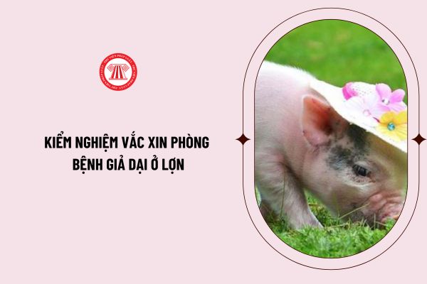 TCVN 8685-25:2018 về quy trình kiểm nghiệm vắc xin phòng bệnh giả dại ở lợn như thế nào? Tiến hành kiểm nghiệm vắc xin phòng bệnh giả dại ở lợn ra sao?
