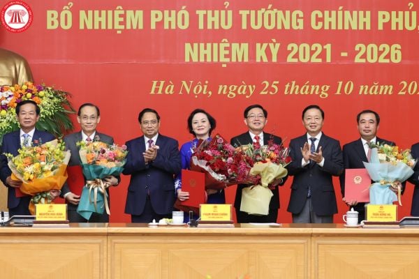 Pháp luật