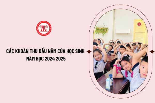 Các khoản thu đầu năm của học sinh năm học 2024 2025 bao gồm những khoản nào? Khoản nào không được thu?