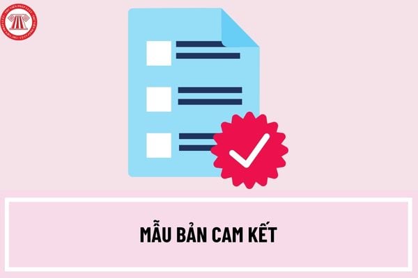 Mẫu bản cam kết chưa từng bị truy cứu trách nhiệm hình sự, xử phạt vi phạm hành chính về hành vi xâm hại trẻ em? 