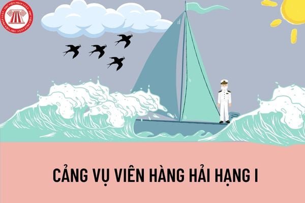 Cảng vụ viên hàng hải hạng 1 có tiêu chuẩn về trình độ đào tạo, bồi dưỡng và năng lực chuyên môn, nghiệp vụ như thế nào?