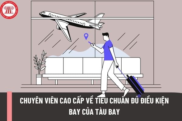 Để trở thành chuyên viên cao cấp về tiêu chuẩn đủ điều kiện bay của tàu bay phải đáp ứng điều kiện nào?