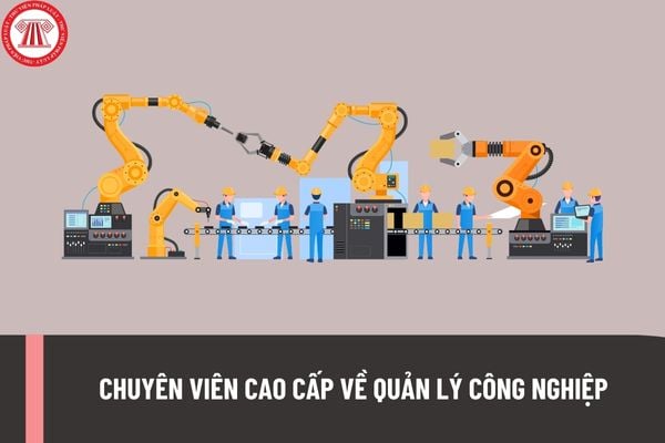 Chuyên viên cao cấp về quản lý công nghiệp cần phải đáp ứng những yêu cầu về trình độ như thế nào?