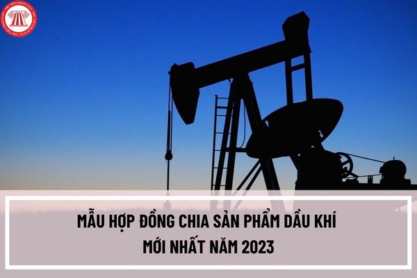 Mẫu hợp đồng chia sản phẩm dầu khí mới nhất năm 2023 theo Nghị định 45/2023/NĐ-CP có dạng như thế nào?