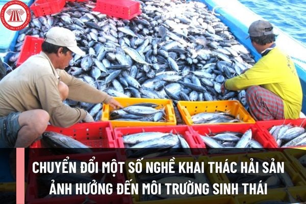 Chuyển đổi một số nghề khai thác hải sản ảnh hưởng đến môi trường sinh thái trong năm 2025?