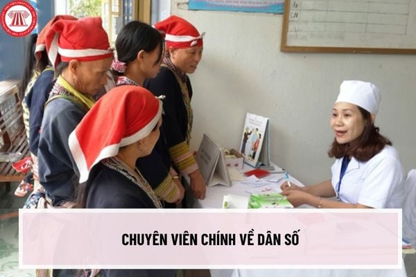 Bản mô tả vị trí công việc của chuyên viên chính về Dân số mới nhất kể từ ngày 22/12/2023 như thế nào?