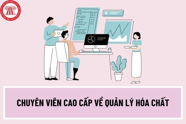 Chuyên viên cao cấp về quản lý hóa chất có yêu cầu về trình độ, năng lực như thế nào? Chuyên viên cao cấp về quản lý hóa chất phải làm các công việc nào?