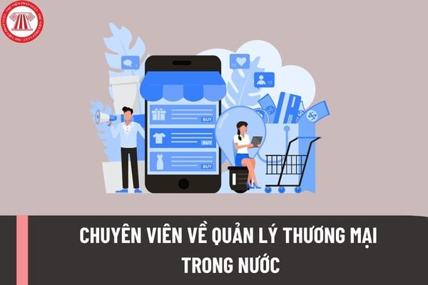 Chuyên viên về quản lý thương mại trong nước phải đáp ứng những yêu cầu về trình độ như thế nào?