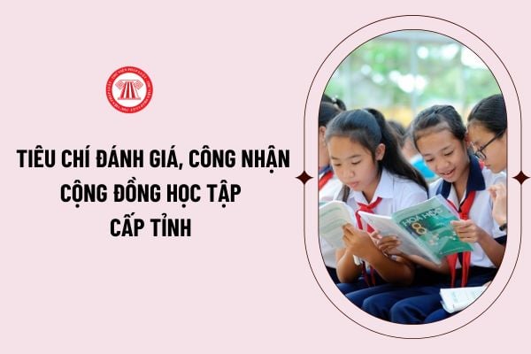 Tiêu chí đánh giá, công nhận “Cộng đồng học tập” cấp tỉnh mức độ 1, 2 theo Thông tư 25/2023/TT-BGDĐT như thế nào?