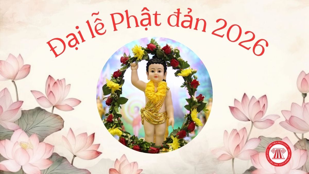 Pháp luật