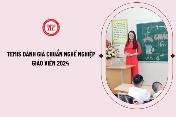 TEMIS đánh giá chuẩn nghề nghiệp giáo viên 2024 như thế nào? Hướng dẫn sử dụng TEMIS đánh giá chuẩn nghề nghiệp giáo viên chi tiết?