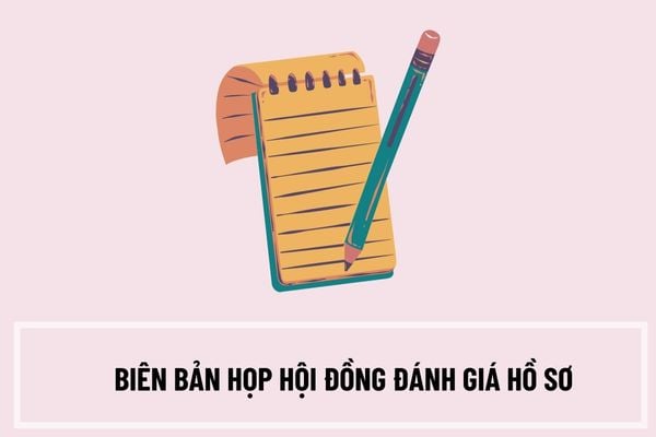 Biên bản họp hội đồng đánh giá hồ sơ đề nghị công nhận kết quả nghiên cứu khoa học và phát triển công nghệ do tổ chức, cá nhân tự đầu tư nghiên cứu có dạng ra sao?