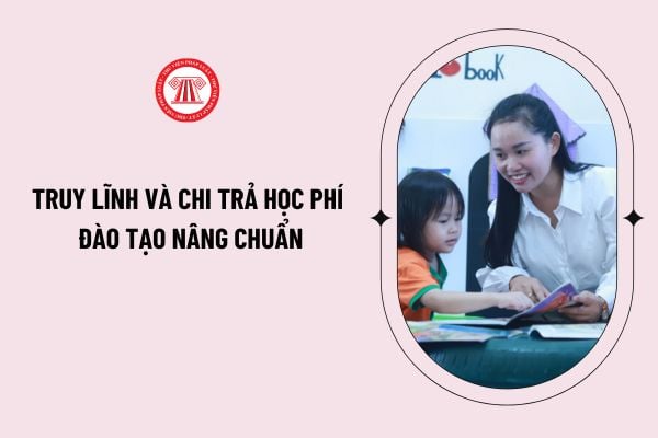 Pháp luật