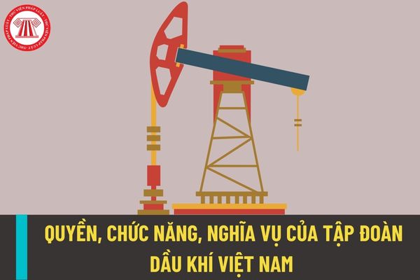 Tập đoàn Dầu khí Việt Nam có quyền hạn, chức năng và nghĩa vụ như thế nào trong hoạt động dầu khí?