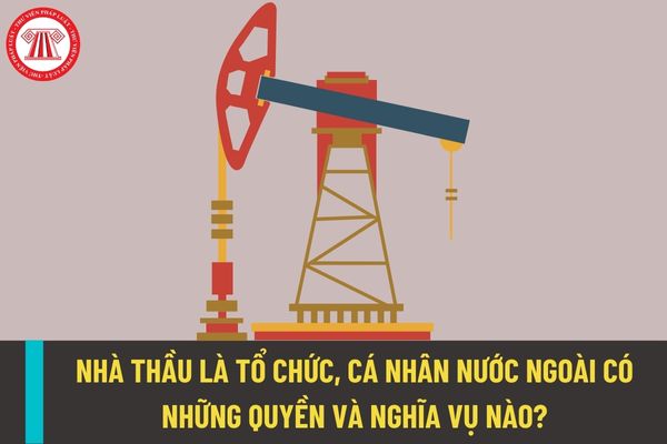 Trong hợp đồng dầu khí nhà thầu là tổ chức, cá nhân nước ngoài có những quyền và nghĩa vụ nào?