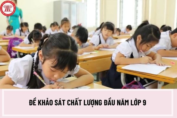 Tổng hợp đề khảo sát chất lượng đầu năm lớp 9 môn Toán, Văn, Anh và đáp án? Tải đề khảo sát đầu năm lớp 9 ở đâu?