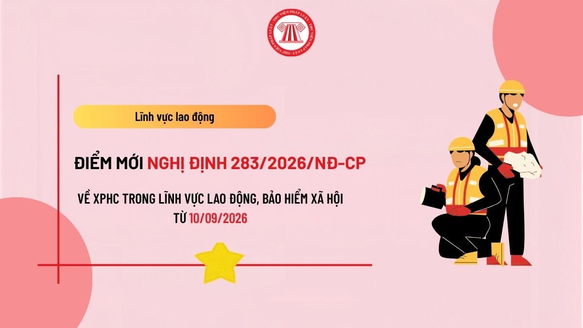 Pháp luật