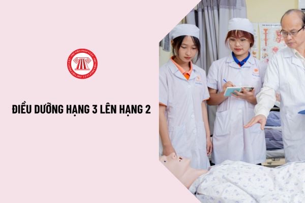 Tiêu chuẩn, điều kiện cụ thể viên chức dự xét thăng hạng chức danh nghề nghiệp từ điều dưỡng hạng 3 lên hạng 2 từ ngày 01/9/2024?