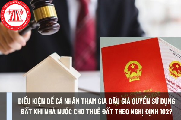 Điều kiện để cá nhân tham gia đấu giá quyền sử dụng đất khi Nhà nước cho thuê đất theo Nghị định 102?