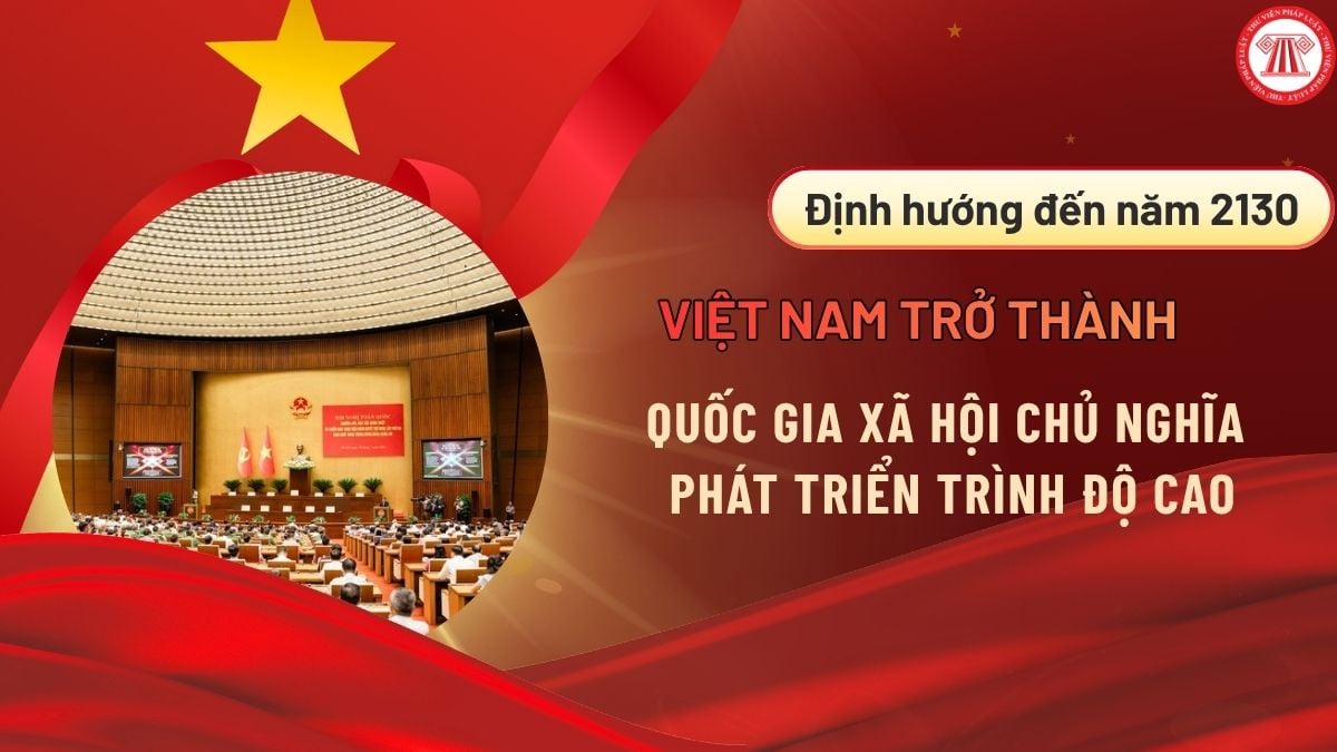 Pháp luật