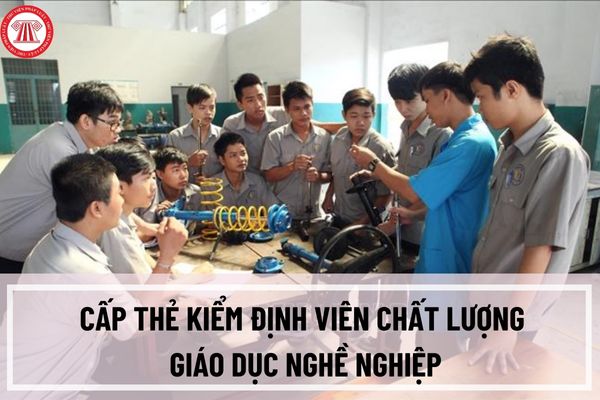 Thủ tục cấp thẻ kiểm định viên chất lượng giáo dục nghề nghiệp như thế nào? Hồ sơ bao gồm những gì?