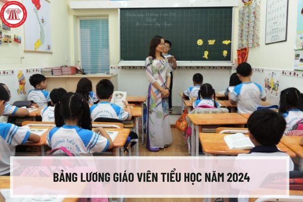 Bảng lương giáo viên tiểu học năm 2024 chính thức như thế nào? Bảng lương giáo viên tiểu học trước và sau khi cải cách ra sao?