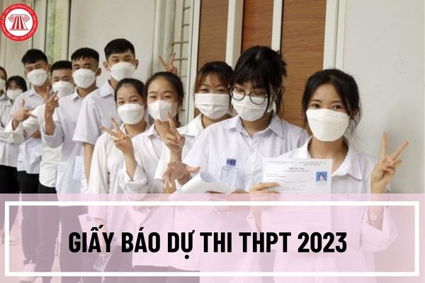 Giấy báo dự thi THPT 2023 được phát khi nào? Hướng dẫn cách tra cứu giấy báo dự thi THPT 2023 trực tuyến?