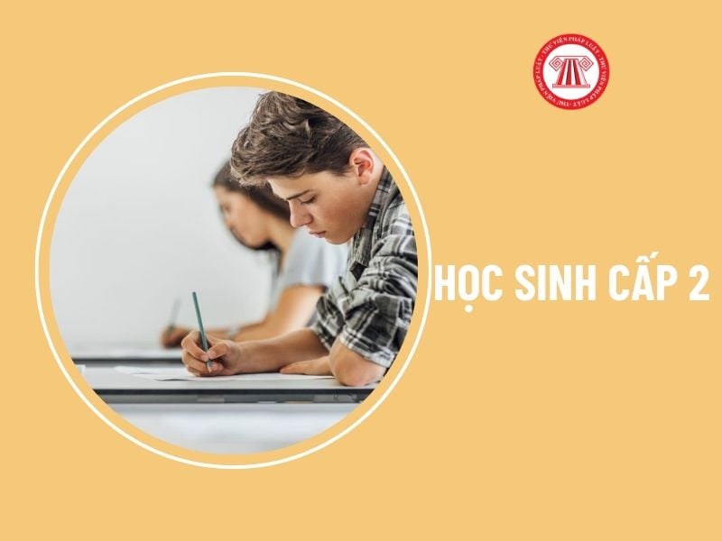 Trường hợp nào học sinh cấp 2 không được lên lớp? Nếu bị đánh giá cả năm chưa được thì có phải rèn luyện trong kì nghỉ hè hay không?