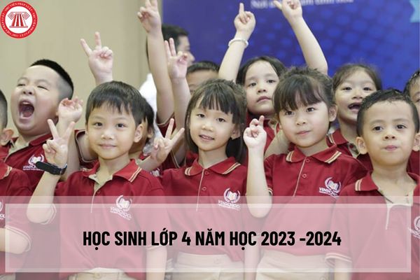 Những thay đổi đối với học sinh lớp 4 trong năm học 2023-2024 theo chương trình giáo dục phổ thông mới cần lưu ý?