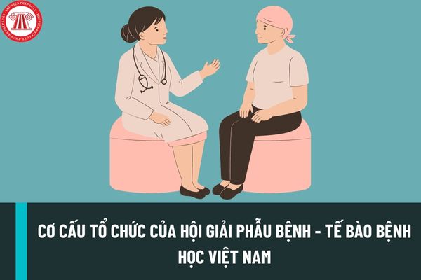 Cơ cấu tổ chức của Hội Giải phẫu bệnh - Tế bào bệnh học Việt Nam được quy định như thế nào?