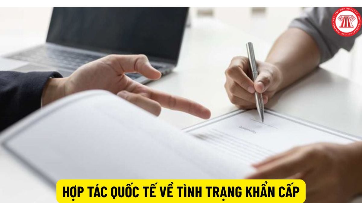 Pháp luật