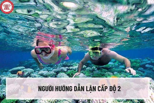 TCVN 13553-2:2022 Yêu cầu đối với đào tạo người hướng dẫn lặn có bình dưỡng khí để cấp chứng chỉ người hướng dẫn lặn cấp độ 2 ra sao?