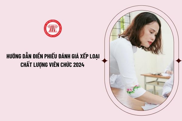 Hướng dẫn điền phiếu đánh giá xếp loại chất lượng viên chức 2024 chi tiết từng mục như thế nào?