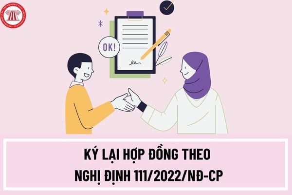 Những người đang làm các công việc nào tại cơ quan hành chính không phải ký lại hợp đồng theo Nghị định 111/2022/NĐ-CP?