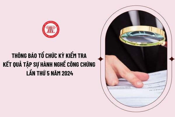 Thông báo tổ chức kỳ kiểm tra kết quả tập sự hành nghề công chứng lần thứ 5 năm 2024? Lịch thi công chứng năm 2024?