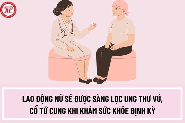 Từ ngày 20/6/2023 lao động nữ sẽ được sàng lọc ung thư vú, cổ tử cung khi khám sức khỏe định kỳ?