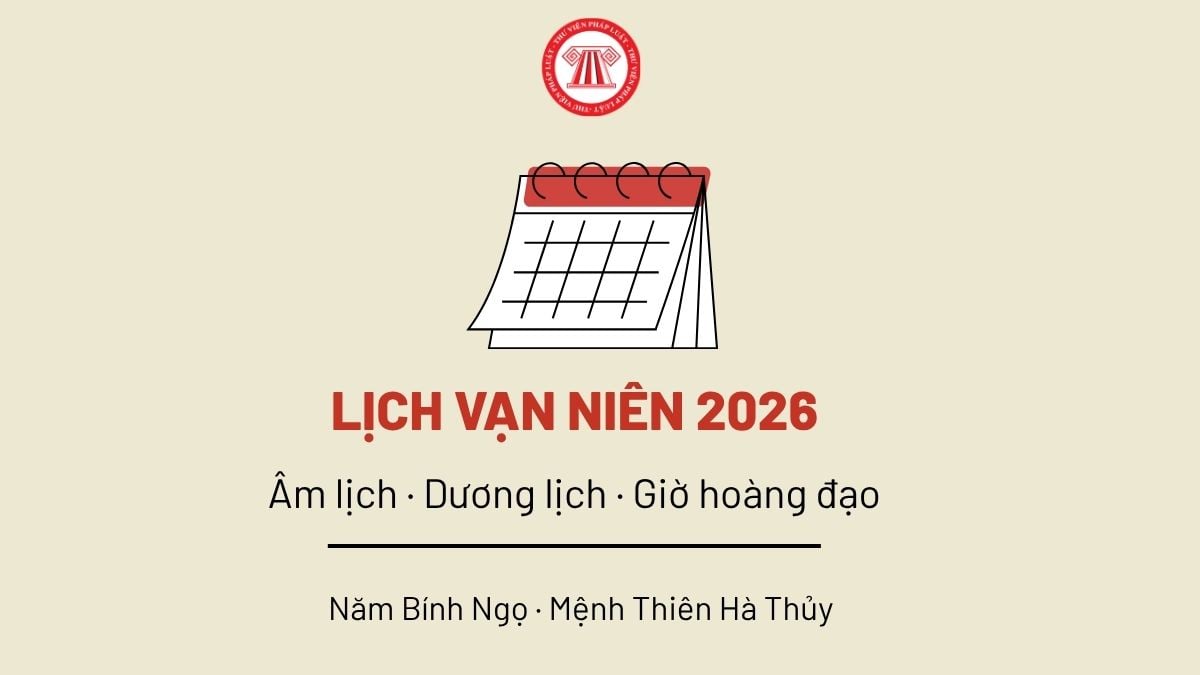 Pháp luật