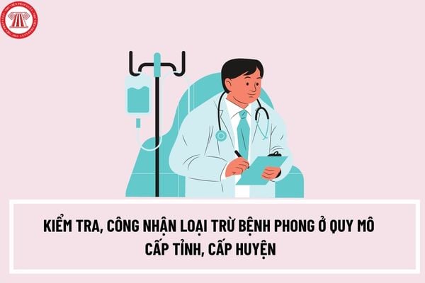 Thủ tục kiểm tra, công nhận loại trừ bệnh phong ở quy mô cấp tỉnh, cấp huyện mới nhất năm 2023 như thế nào?