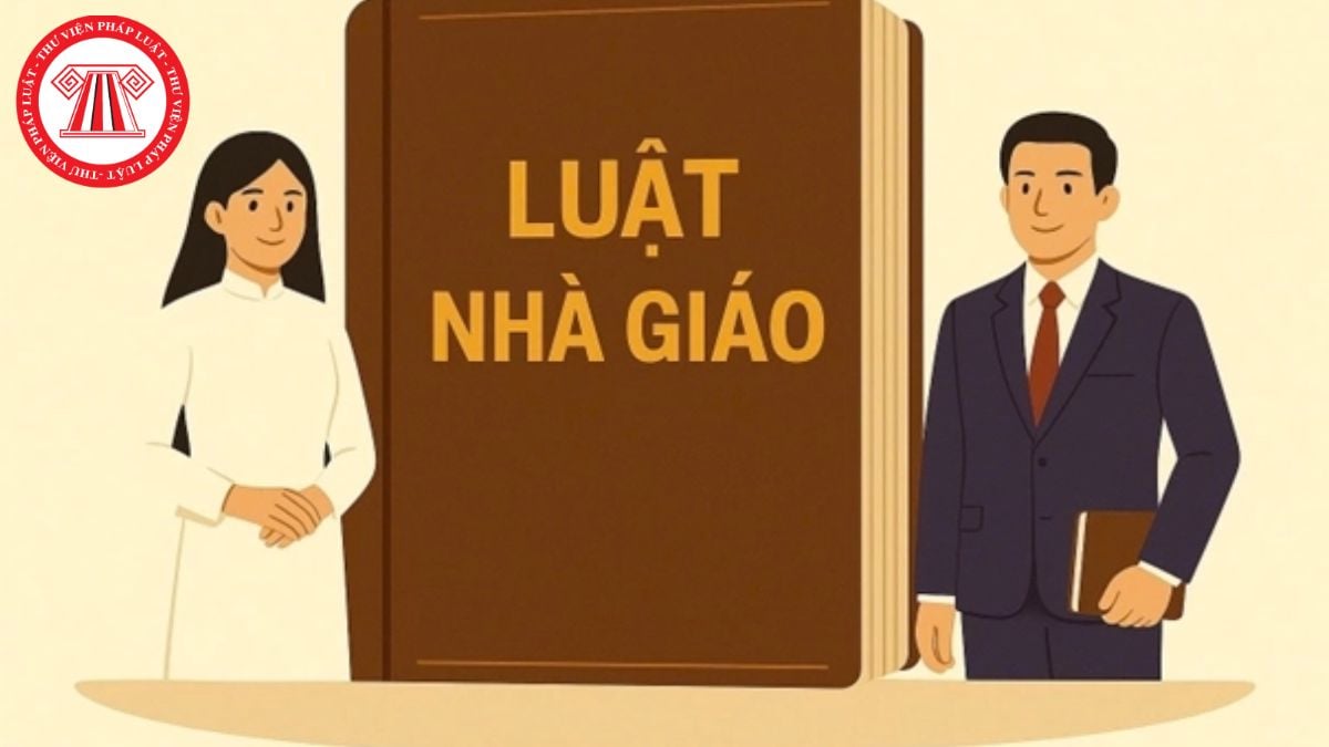 Pháp luật