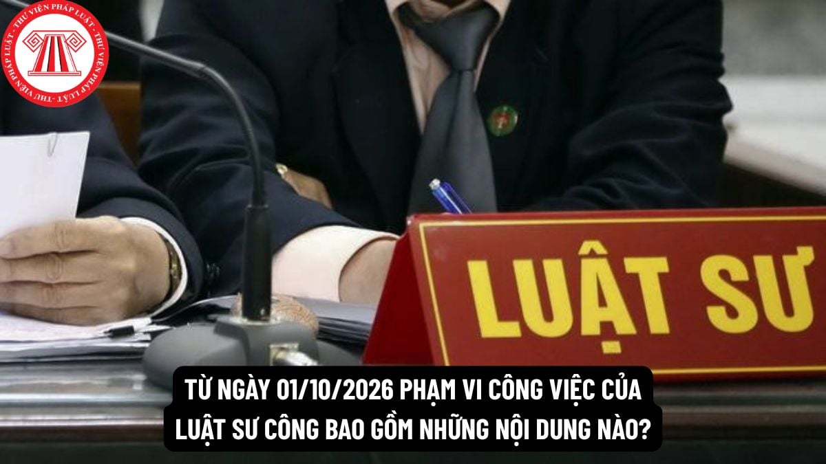Pháp luật