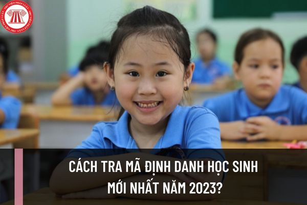 Cách tra mã định danh học sinh mới nhất năm 2023? Tình trạng mã định danh học sinh hiện này?