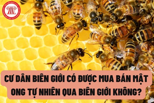 Cư dân biên giới có được mua bán mật ong tự nhiên qua biên giới không? Hàng hóa mua bán, trao đổi của cư dân biên giới có phải chịu thuế không?