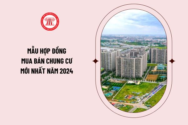 Mẫu hợp đồng mua bán chung cư mới nhất năm 2024 theo Nghị định 96/2024/NĐ-CP? Hướng dẫn nội dung mẫu trong hợp đồng mua bán căn hộ chung cư?