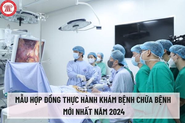 Mẫu hợp đồng thực hành khám bệnh chữa bệnh mới nhất năm 2024 theo Nghị định 96/2023/NĐ-CP? 