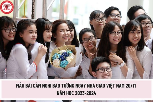 Mẫu bài cảm nghĩ báo tường ngày nhà giáo Việt Nam 20/11 năm học 2023-2024 hay, mới nhất? Tải bài cảm nghĩ báo tường ở đâu?