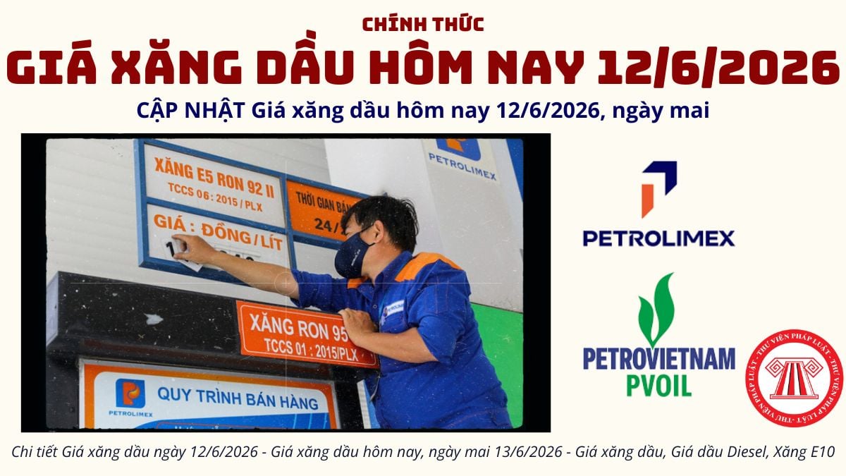 Pháp luật