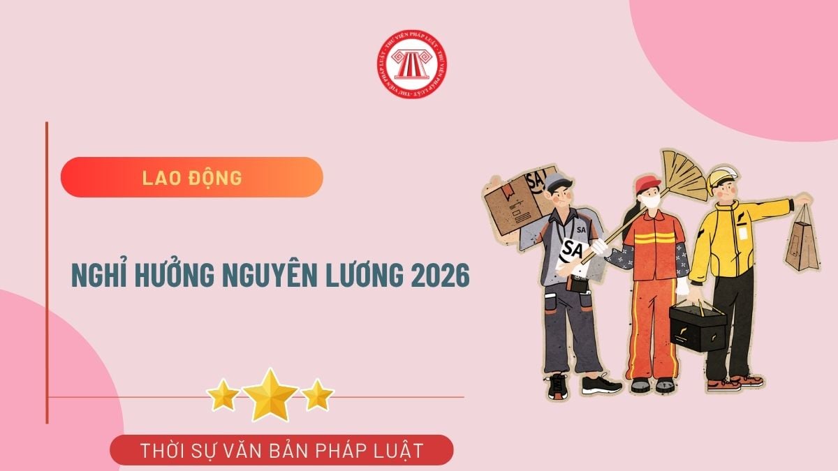 Pháp luật