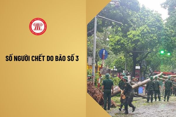 Số người chết do bão số 3 là bao nhiêu người? Bao nhiêu người mất tích do bão số 3? Dự báo sẽ tiếp tục mưa lớn vào ngày 9-10/9?