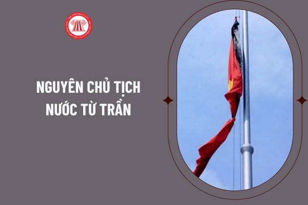 Pháp luật